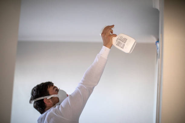 Best Mold Removal Specialists  in Shiner, TX