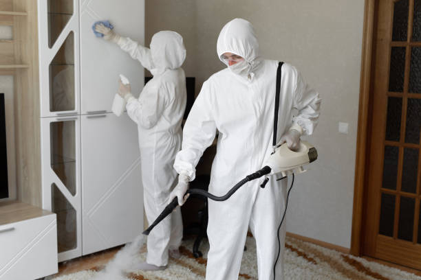 Mold Testing and Removal in Shiner, TX