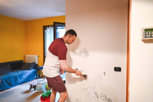 Reliable Shiner, TX Mold Removal Solutions