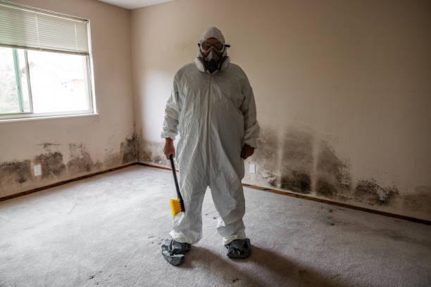 Best Black Mold Removal  in Shiner, TX
